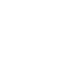 eCommerce Development